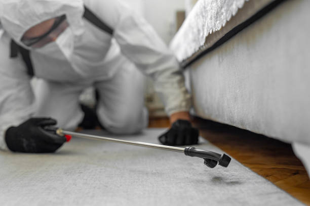 Professional Termite Control technician working in Harleysville, PA