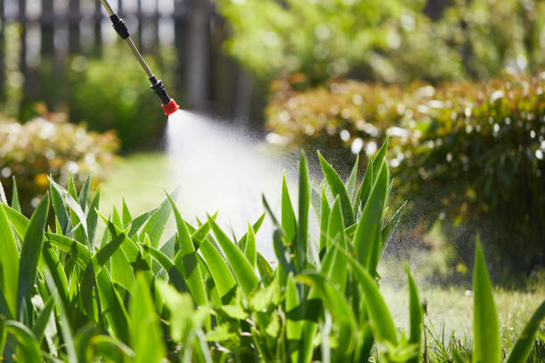 24/7 Emergency Termite Control experts in Harleysville, PA