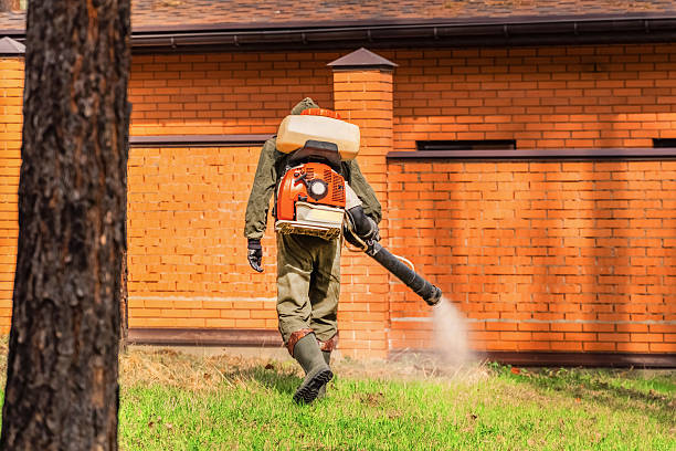 Trusted Rodent Control service in Harleysville, PA - Nex Pest Control